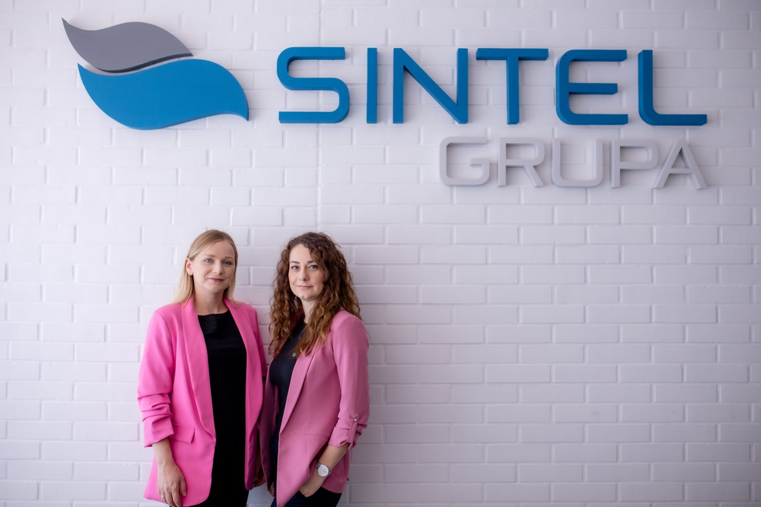 Sintel grupa